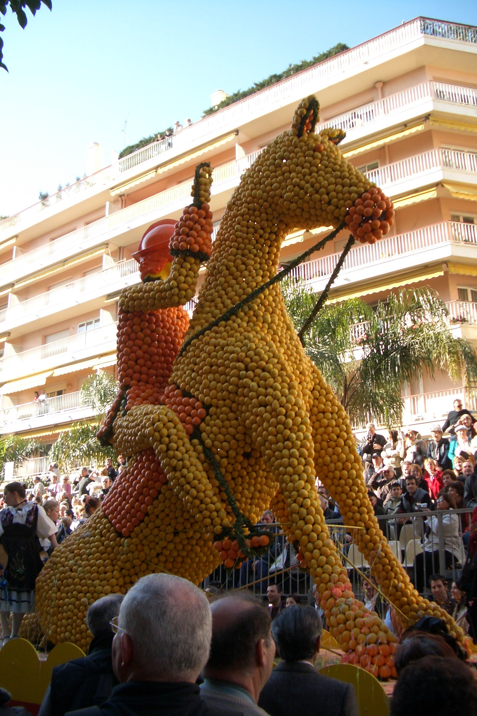 Menton horse